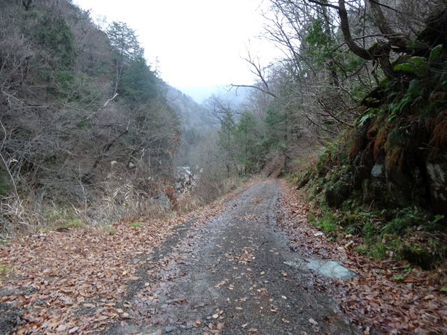 ���،˗ѓS,�X�ѓS��,�p����,���m���x��,�c�я��O����,�ѓ�,�X�C�b�`�o�b�N