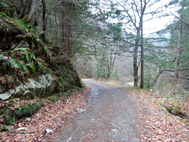 ���،˗ѓS,�X�ѓS��,�p����,���m���x��,�؍މ^���O����,�ѓ�,�_���c�я�