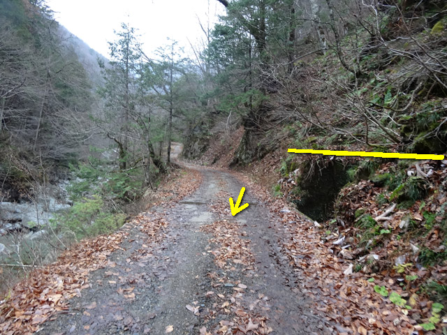 ���،˗ѓS,�X�ѓS��,�p����,���m���x��,�؍މ^���O����,����傤,�Ë�