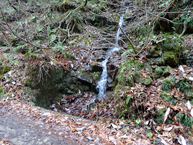 ���،˗ѓS,�X�ѓS��,�p����,���m���x��,�ѓ�,�i���[�O����,��