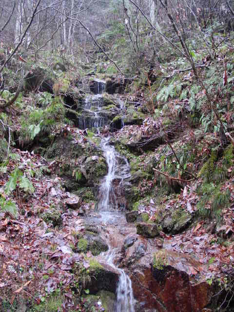 ���،˗ѓS,�X�ѓS��,�p����,���m���x��,�ѓ�,�i���[�O����,��i