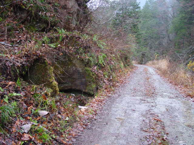 ���،ːX�ѓS�����m���x��,�ѓS,�p����,�i���[�O����,�ѓ�,��r�ʐ^