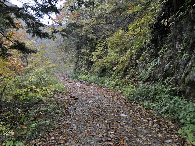 ���،ːX�ѓS�����m���x��,�ѓS,�p����,�i���[�O����,�_���c�я�,����