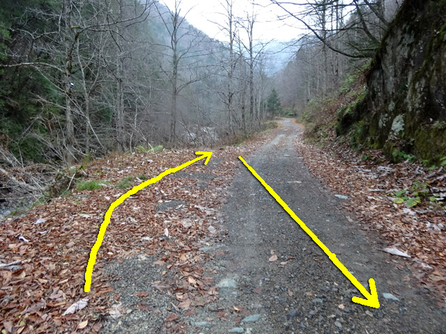 ���،ːX�ѓS�����m���x��,�ѓS,�p����,�i���[�O����,�_���c�я�,�X�C�b�`�o�b�N