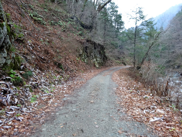 ���،ːX�ѓS�����m���x��,�ѓS,�p����,�c�я��O����,�H��,�X�C�b�`�o�b�N