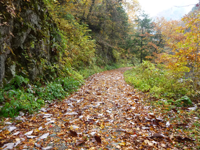 ���،ːX�ѓS�����m���x��,�ѓS,�p����,�c�я��O����,��r�ʐ^,�X�C�b�`�o�b�N