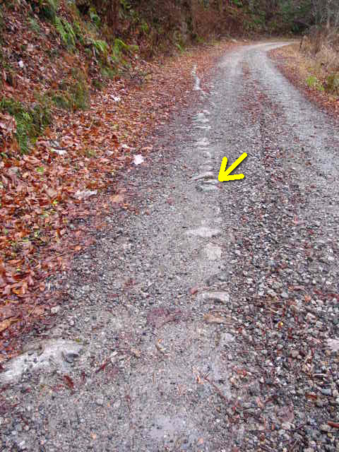 ���،ːX�ѓS�����m���x��,�ѓS,�p����,�c�я��O����,����,�X�C�b�`�o�b�N