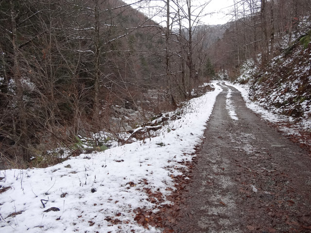 ���،ːX�ѓS�����m���x��,�ѓS,�p����,�c�я��O����,�ˍ���,�X�C�b�`�o�b�N