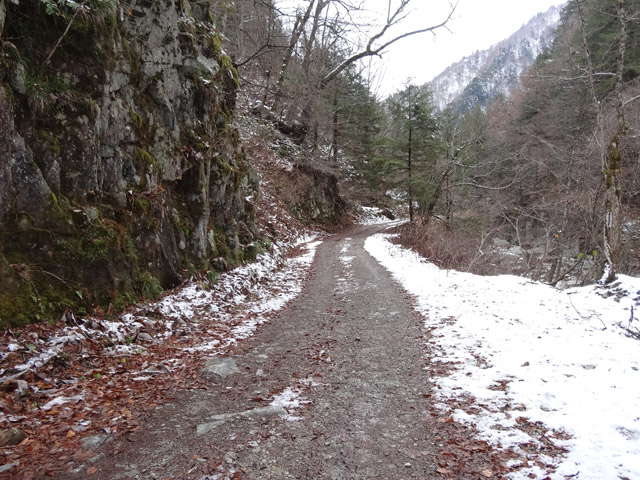 ���،ːX�ѓS�����m���x��,�ѓS,�p����,�i���[�O����,�ˍ���,�X�C�b�`�o�b�N