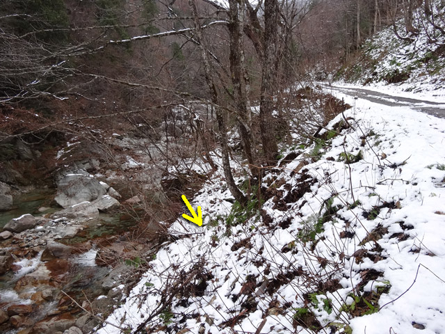 ���،ːX�ѓS�����m����,�ѓS,�p����,�x��,�ˍ���,�X�C�b�`�o�b�N