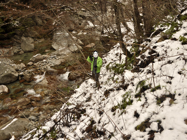 ���،ːX�ѓS��2����,�ѓS,�p����,���m���x��,�ˍ���,�X�C�b�`�o�b�N