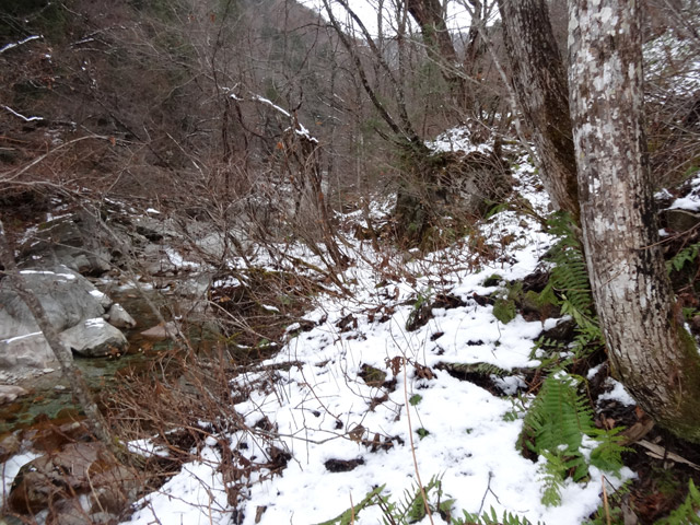 ���،ːX�ѓS��2����,�ѓS,�p����,���m���x��,�_���c�я�,�X�C�b�`�o�b�N