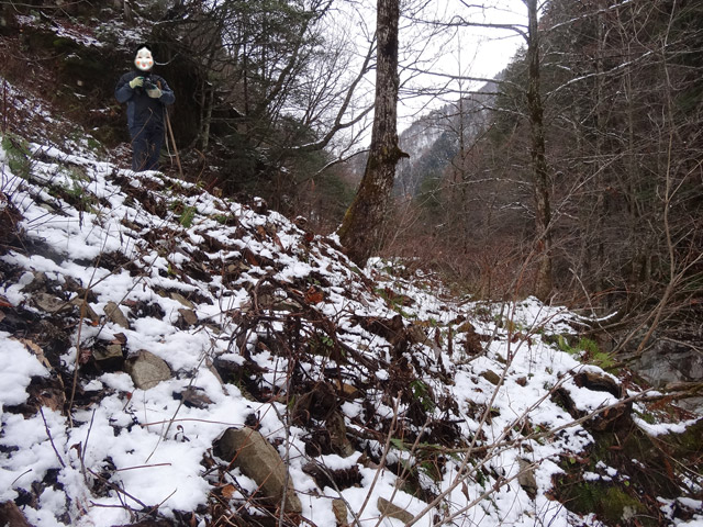 ���،ːX�ѓS��2����,�ѓS,�p����,���m���x��,�ѓ�,�X�C�b�`�o�b�N