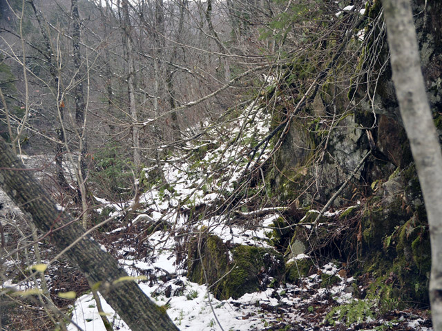 ���،˗ѓS,�X�ѓS��,�p����,���m���x��,�ˍ���,�i���[�O����,�X�C�b�`�o�b�N