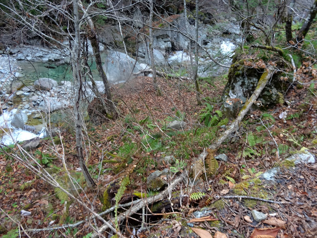 ���،˗ѓS,�X�ѓS��,�p����,���m���x��,�ѓ�,�؍މ^���O����,�X�C�b�`�o�b�N