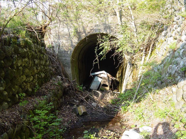 ���،ːX�ѓS��,��1��詓�,�ѓS,�p����,�p�g���l��