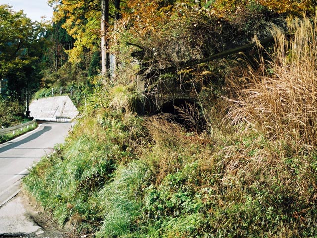 ���،ːX�ѓS��,��1��詓�,�ѓS,�p����,�p�g���l��