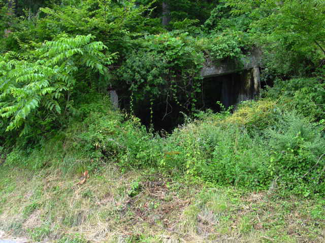 ���،ːX�ѓS��,��1��詓�,�ѓS,�p����,�p�g���l��