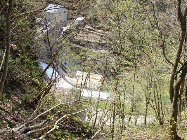 ���،ːX�ѓS��,�ѓS,�o�Z�_��,�ѓ�