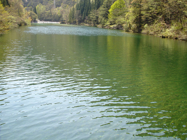 ���،˗ѓS,�X�ѓS��,�o�Z�_��