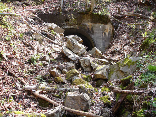 ���،ːX�ѓS��,�ѓS,�p����,�����q詓�,�p�g���l��