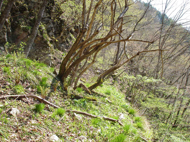 ���،ːX�ѓS���u��3��詓��[������J�v