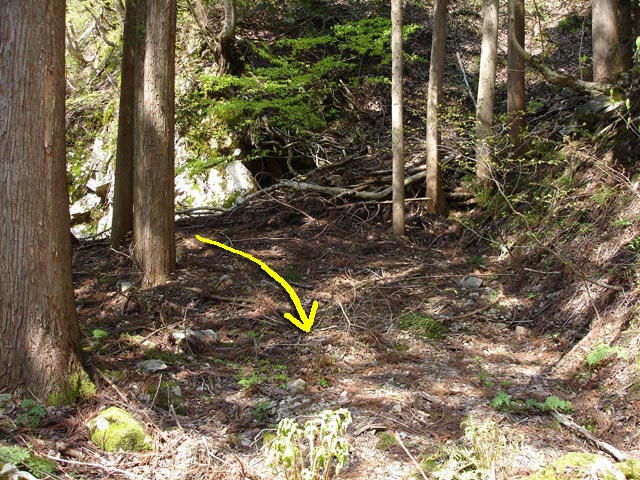 ���،ːX�ѓS��,�ѓS,,�p����,���q�J,����