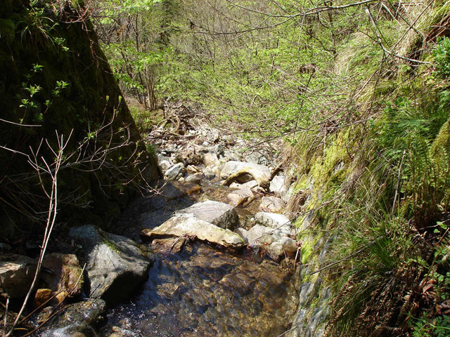 ���،ːX�ѓS��,�ѓS,,�p����,���q�J,����,�o�Z�_��