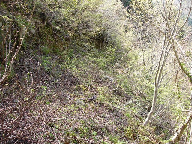 ���،˗ѓS�u��3��詓��[������J�v