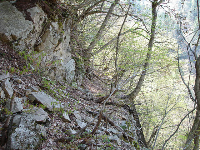 ���،˗ѓS�u��3��詓��[������J�v