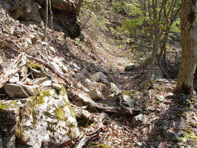 ���،˗ѓS�u��3��詓��[������J�v