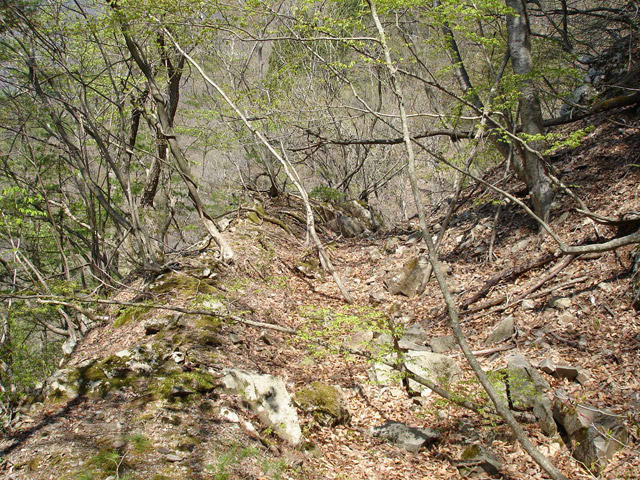 ���،˗ѓS�u��3��詓��[������J�v