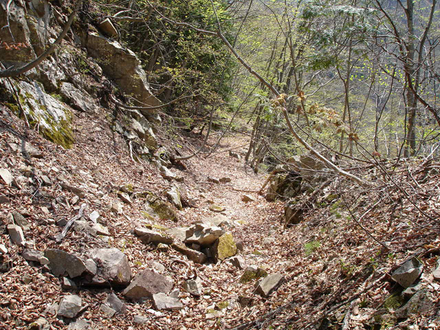 �R���J�����[������J