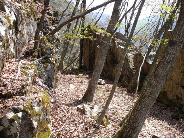 ���،ːX�ѓS��,�ѓS,�p����,�O����