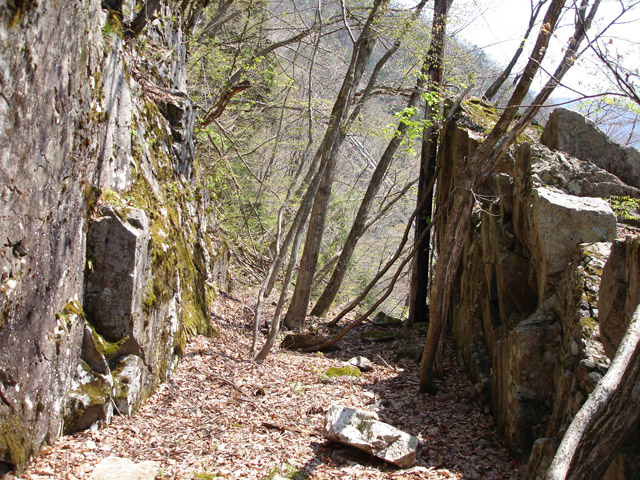 ���،ːX�ѓS��,�ѓS,�p����,�O����