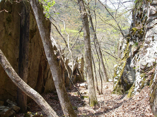 ���،ːX�ѓS��,�ѓS,�p����,�O����