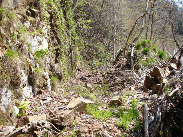 ���،˗ѓS,�X�ѓS��,�p����,�O����