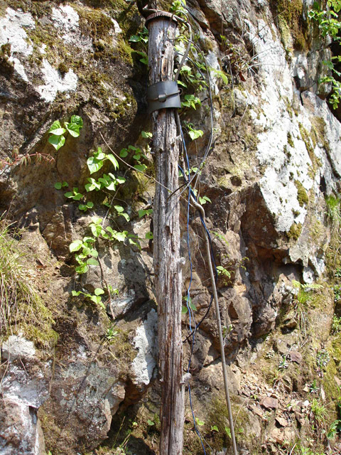 ���،˗ѓS,�X�ѓS��,�p����,�ʐM��