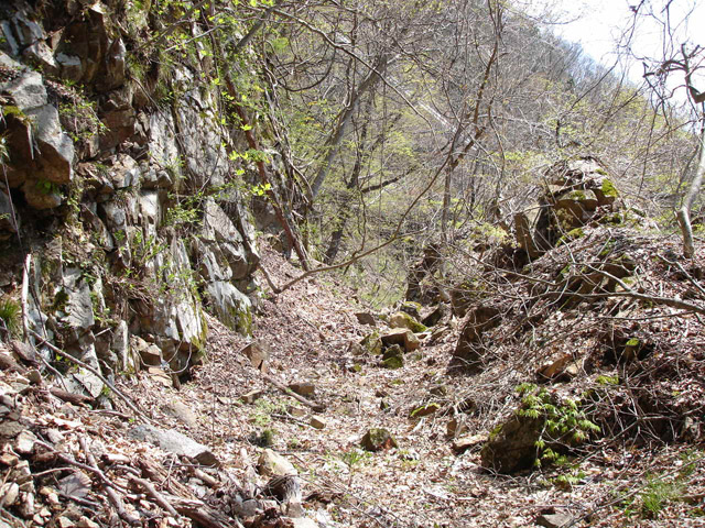 ���،˗ѓS,�X�ѓS��,�p����,�O����