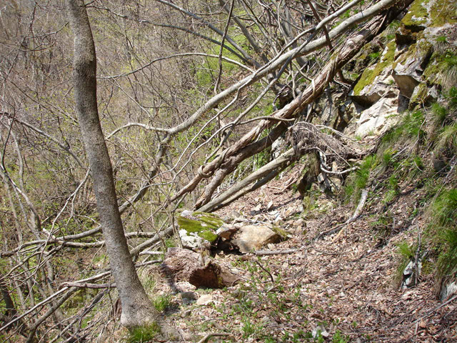 ���،˗ѓS,�X�ѓS��,�p����,�O����