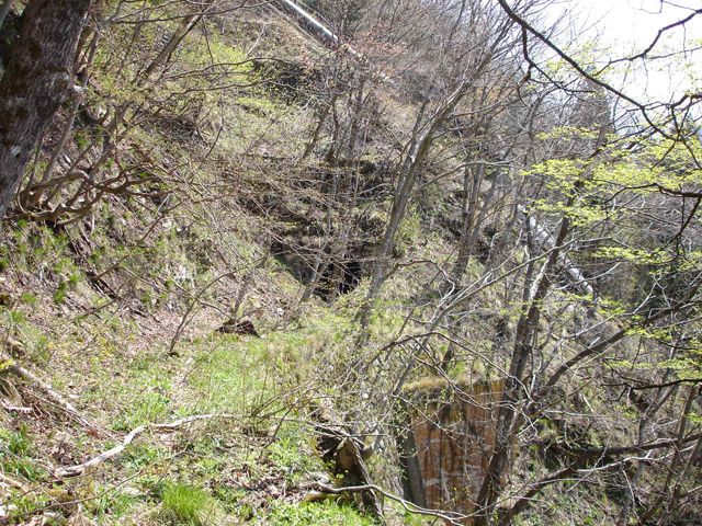 ���،˗ѓS,�X�ѓS��,�p����,�O����