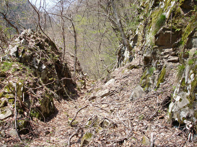 ���،˗ѓS,�X�ѓS��,�p����,�O����