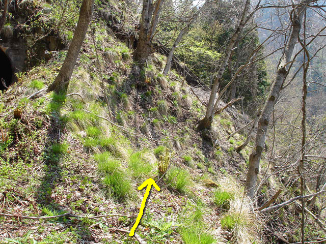 ���،˗ѓS,�X�ѓS��,�p����,�O����