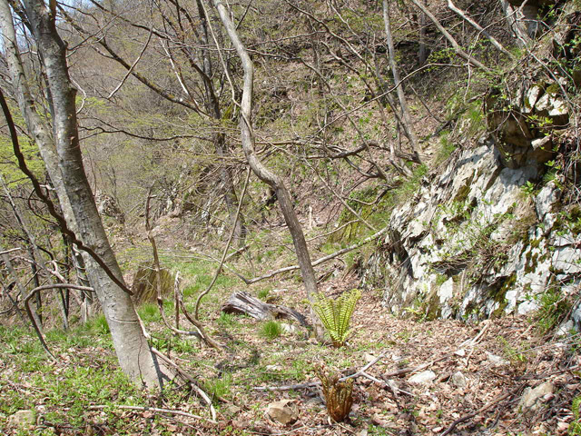 ���،ːX�ѓS��,�ѓS,�p�g���l��,�p詓�