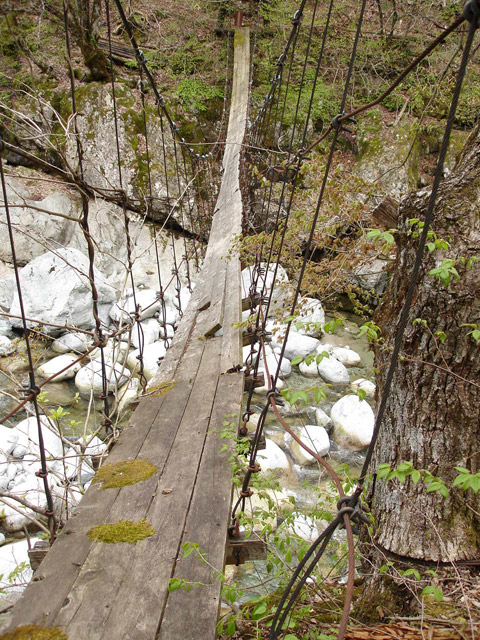 �o�Z�k�J,���،˔��d��,�݂苴,�ؒ݋�,���،ː�