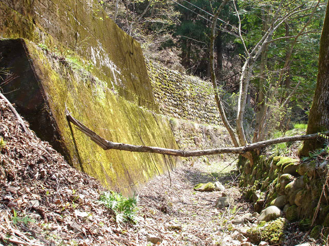 ���،ːX�ѓS���u��4��詓��[������J�v