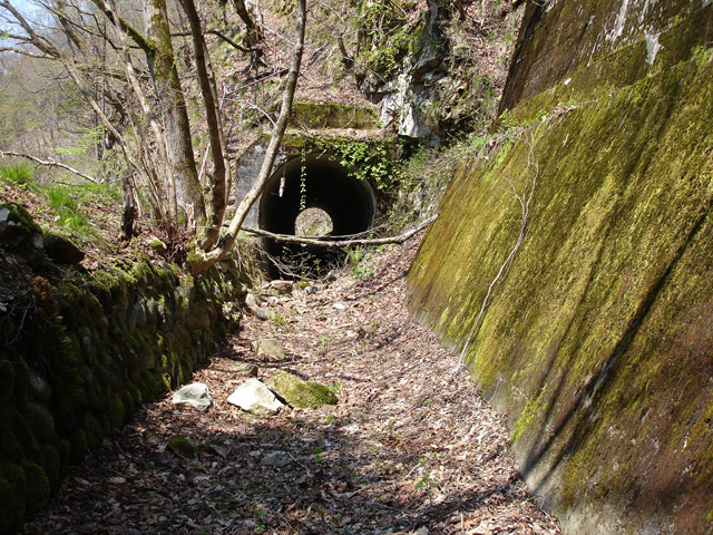 ���،ːX�ѓS���u��4��詓��[������J�v