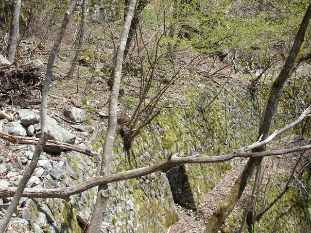 ���،˗ѓS�u��4��詓��[������J�v