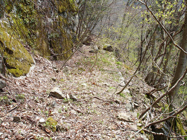 ���،˗ѓS�u��4��詓��[������J�v