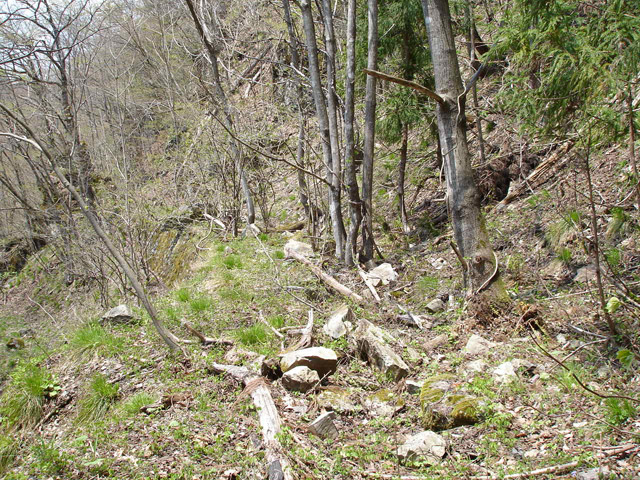 ���،ːX�ѓS��,�ѓS,詓�,�g���l��,�f�@��